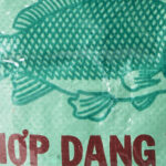 secchiello grande 54